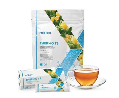Thermo T3